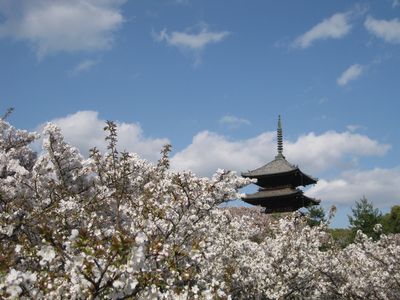 京都日和3