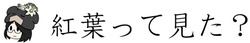 紅葉って見た？