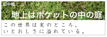 地上はポケットの中の庭