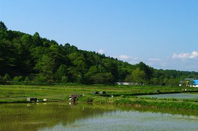 ふたりの日だまり