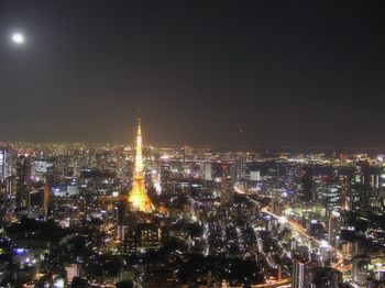 魔法の国の散歩道