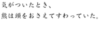 頭のうちどころが悪かった熊の話