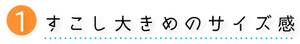 すこし大きめのサイズ感