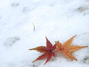 靴とか鞄とか